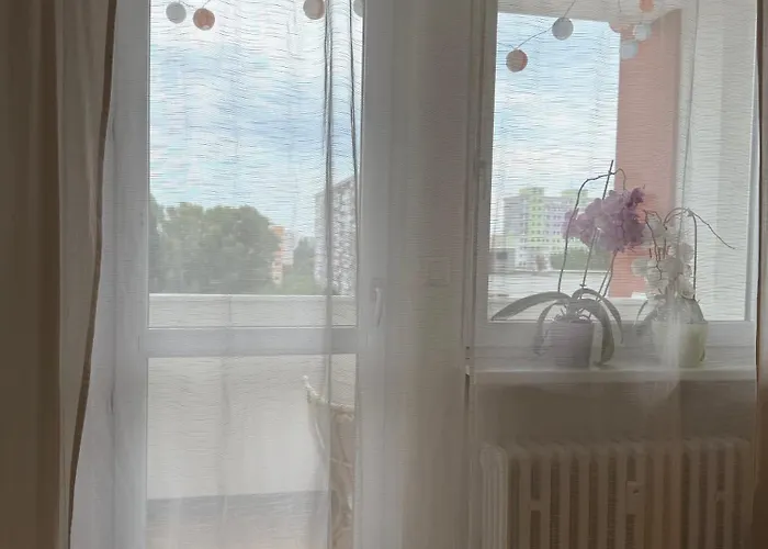 Large 3-room Baleris 브라티슬라바